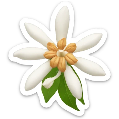 ashwagandha flower sticker