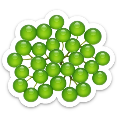 A cute emoji-style sea grape (Caulerpa lentillifera), 
made of tiny translucent green bubbles clustered together, 
glossy jelly-like texture, fresh ocean feel, 
simple and clean emoji design, minimal shading, 
rounded shapes, bright green color, isolated on transparent background sticker