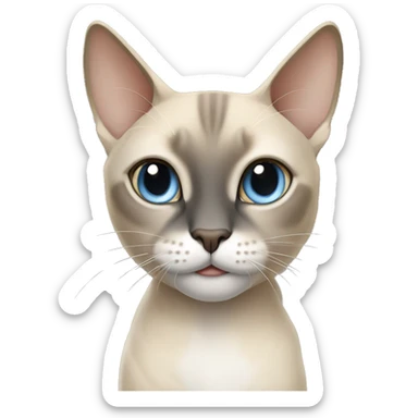 Thai breed adult cat with a light cream-brown body, dark gray nose and face, ears, and paws. sharp ears, and striking light blue eyes  sticker