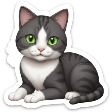 beautiful female solid dark grey cat with green eyes, white toes/paws and white patch on her chest rolling over sticker