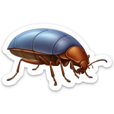 Parisian bedbug sticker
