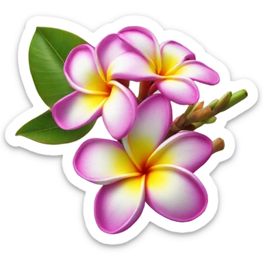 plumeria flower sticker