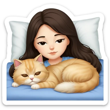 pretty girl with dark long hair sleeping with blonde fluffy  persian cat in bed sticker