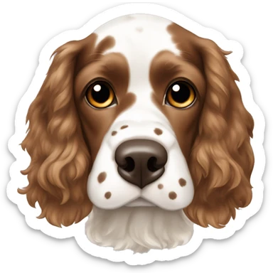 Brown and white spotted cocker spaniel on body and nose sticker