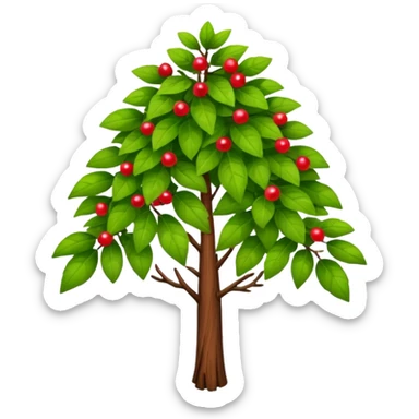 A tall shrub with layered leaves and a few small berries. sticker