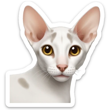 The Oriental Shorthair sticker