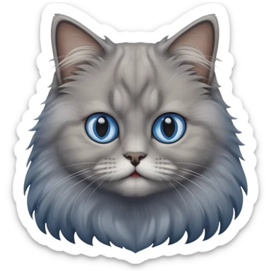 A cat which is a brittish longhair whit is gray color and hes eyes are blue sticker