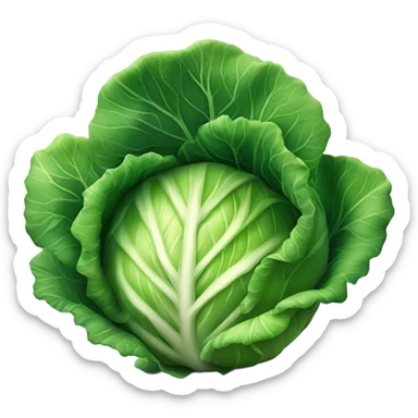 A cool cabbage for whom everything goes according to plan sticker