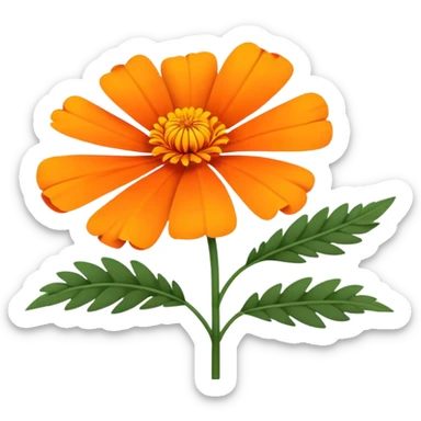 cempasúchil flower, Mexican marigold, bright orange with layered petals sticker