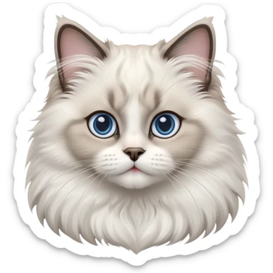 cinematic-adorable-big-eyed-fluffy-ragdoll-cat-portrait-emoji,-head-tilted-playfully-with-a-sweet-expression,-fluffy-white and grey-fur,-simplified-yet-irresistibly-cute-features-with-large,-expression, blue eyed ragdoll cat sticker