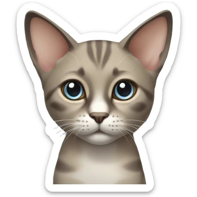 Thai breed realistic cat with a light cream -brown body, dark gray-brown face, ears, and paws. Short fur, sharp ears, striking light blue eyes  sticker