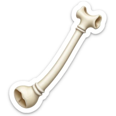 singular long anatomic bone sticker