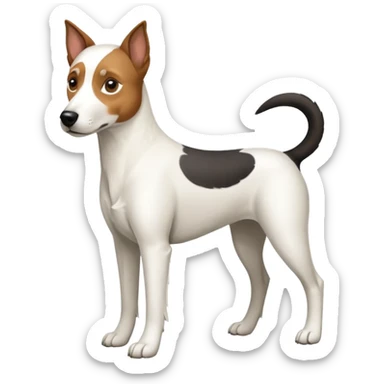 a full body large white parson russell looking dog the size of a kelpie with light brown ears and a light brown patch on one eye and a large snout sticker