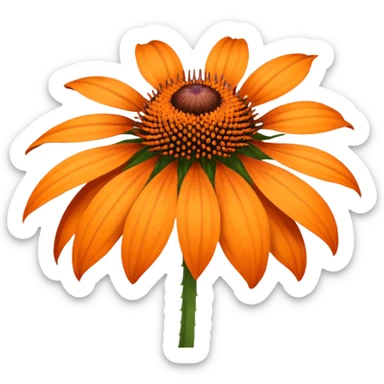 Amazing. What about orange echinacea? sticker