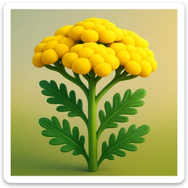 3D iOS style: yellow yarrow plant, cartoonish, very volumetric, rounded, no faces or smiles, natural look, bright colors sticker