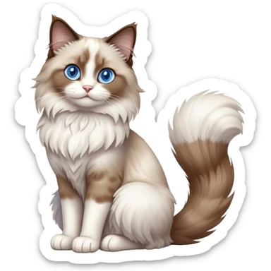 cinematic-[brown and white ragdoll cat]-realistic-full-body-sitting-emoji,-tail-curled-playfully-around-its-paws,-head-tilted-dramatically,-fluffy-[brown and white]-fur,-simplified-yet-realistic-focused-features,-highly-detailed,-glowing-with-an-almost-sarcastic-glow, with blue eyes sticker