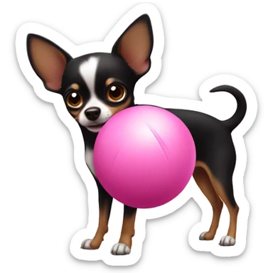 Black and brown chihuahua playing with pink ball sticker