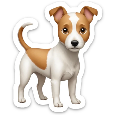 a full body slightly chubby white parson russell terrier looking dog the size of a kelpie with light brown long ears and a light brown patch on one eye and a large snout. the rest of the dog is completely whiteforward facing sticker