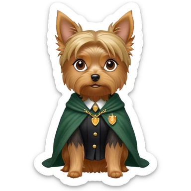 Yorkshire terrier female dog with Minerva McGonagall clothes sticker