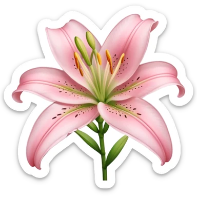 light pink lilium sticker