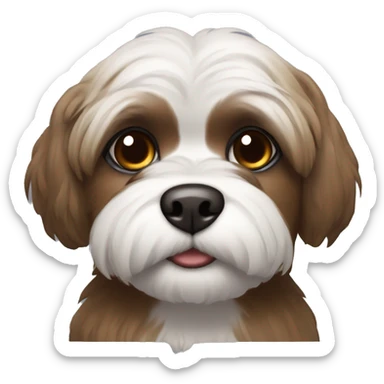 Shitzu with brown fur around mouth and grey around eyes with dark brown eyes sticker