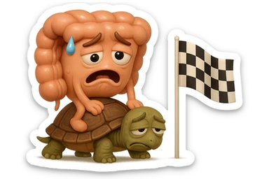  EMOJI STILE IPHONE 3D DI UN INTESTINO CON ESPRESSIONE ANGOSCIATA CHE CAMMINA SEDUTO IN GROPPA SUL GUSCIO DI UNA TARTARUGA IN ATTESA ESTENUANTE DI RAGGIUNGERE UN TRAGUARDO POCO PIù AVANTI, SULLA LORO DESTRA. IL TRAGUARDO è UNA BANDIERA A DUE PIEDI CON FASCIA A SCACCHI BIANCHI E NERI. iperrealistico 4k sticker