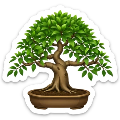 bonsai tree ficus with 8 brances of leaves sticker