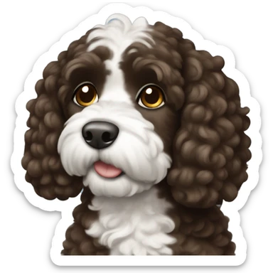 Dark brown and white cockapoo sticker