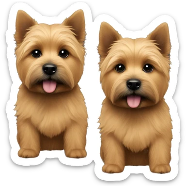 Two Puppy of Norwich terrier one is grizzly colour and second is black and tan colour sticker