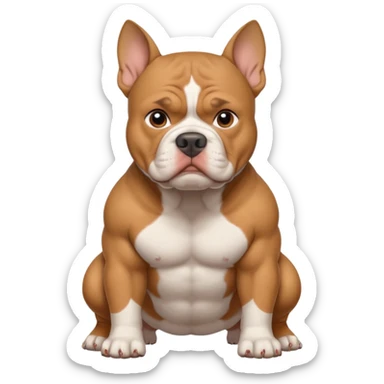 Tan with white chest XL American bully with cropped ears sticker
