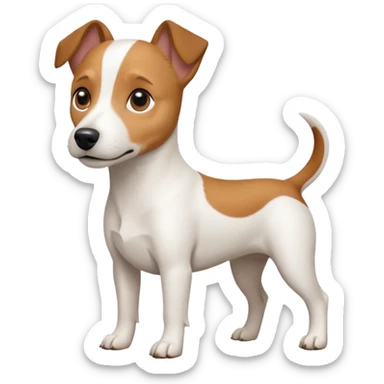 a full body white jack russel looking dog the size of a kelpie with light brown ears and a light brown patch on one eye and a large snout sticker