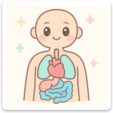 human anatomy subject of school of medicine sticker