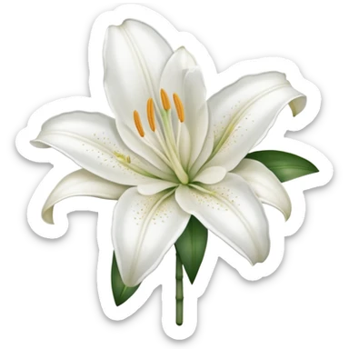 A cute gorgeous beautiful shiny glittery shimmering soft smooth hyperrealistic white Lily flower Corolla blossom bloom (without the stem) sticker