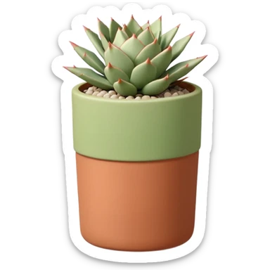 A ceramic pot in a pastel terracotta color, shaped like a cylinder, the pot is tall and contains an Acanthocalycium Glaucum cactus plant. sticker