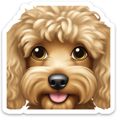 Light brown and cream colored Yorkie poodle mixed dog with curly hair body and very fluffy with longer ears sticker