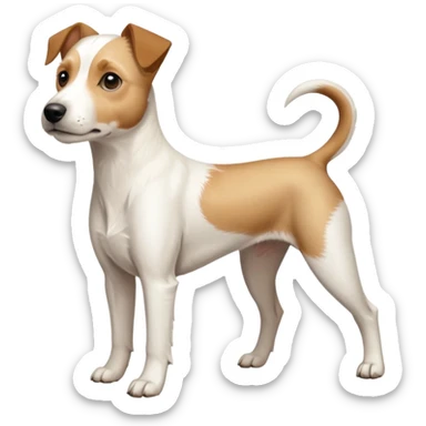 a full body buff white parson russell terrier looking dog the size of a kelpie with light brown long ears and a light brown patch on one eye and a large snout. the rest of the dog is completely white. forward facing sticker