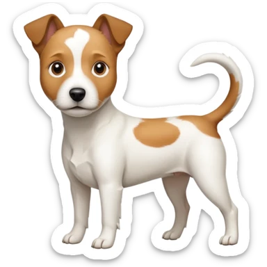a full body slightly chubby white parson russell terrier looking dog the size of a kelpie with light brown long ears and a light brown patch on one eye and a large snout. the rest of the dog is completely whiteforward facing sticker