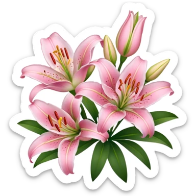 pink lilies sticker