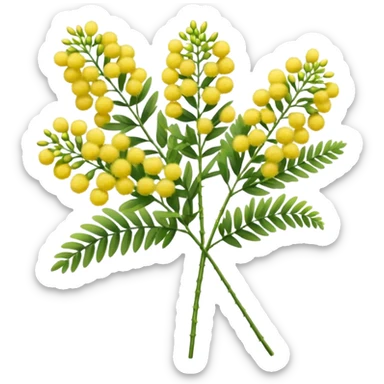 small cluster of fluffy round yellow mimosa blossoms with tiny filament-like petals, arranged along slender green stems with delicate feathery leaves, vibrant and soft early spring bloom, apple emoji style, soft lighting, subtle shadows, transparent background, emoji scale sticker