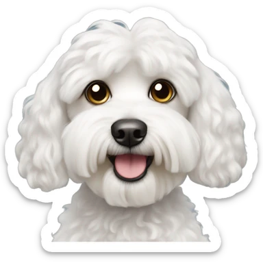 Maltese poodle sticker