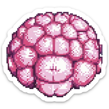 16-bit pixel art of a pink brain-shaped blob, smooth rounded brain texture, simple retro gaming style sticker