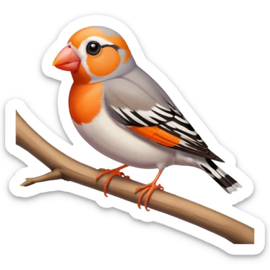 Zebra Finch bird sticker