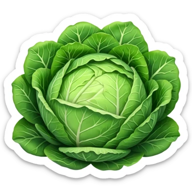  Shredded cabbage    sticker