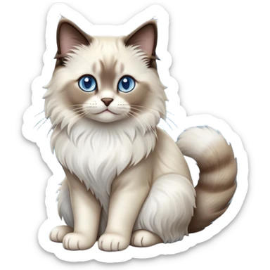 Cinematic-Seal-Ragdoll-Cat-Realistic-Full-Body-Sitting-Emoji – Tail curled playfully around its paws, head tilted dramatically, fluffy brown-and-white fur with darker seal points, simplified yet realistic focused features, highly detailed, glowing with an almost sarcastic glow, piercing blue eyes radiating elegance and charm. sticker
