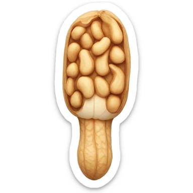 peanut with eyes and pigtail sticker