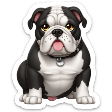 bulldog francês branco preto  sticker