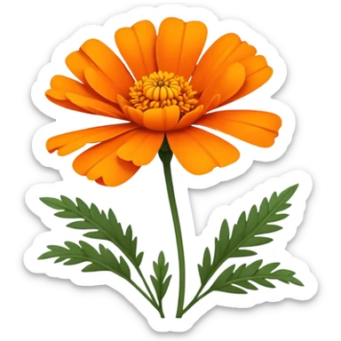 cempasúchil flower, Mexican marigold, bright orange with layered petals sticker