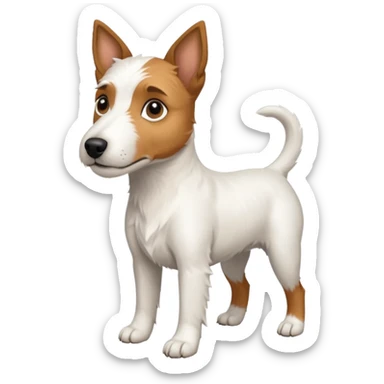 a full body large white parson russell looking dog the size of a kelpie with light brown ears and a light brown patch on one eye and a large snout sticker