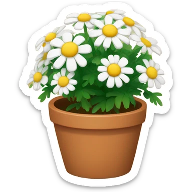 chamomile in terracotta pot sticker
