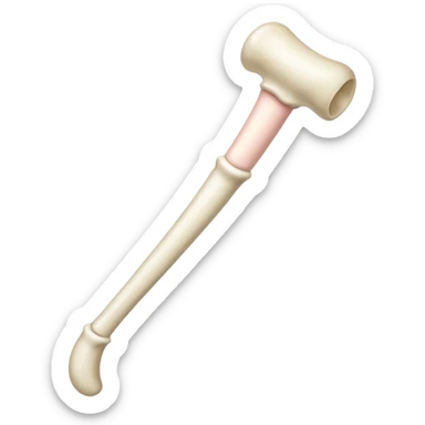 singular long bone sticker